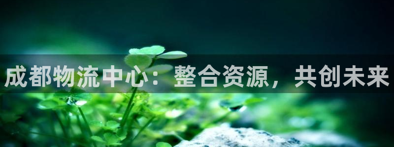usdt钱包转账要姓名吗：成都物流中