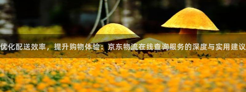 USDT账号从哪里看
