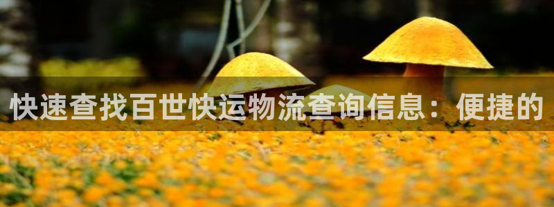 usdt钱包地址怎么弄