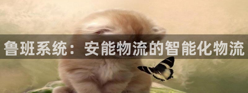 查usdt地址