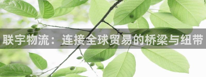 usdt查询地址余额