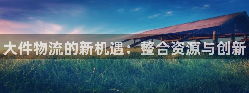 usdt如何提现人民币：大件物流的新