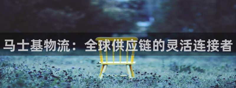 usdt钱包app官网下载安装：马士