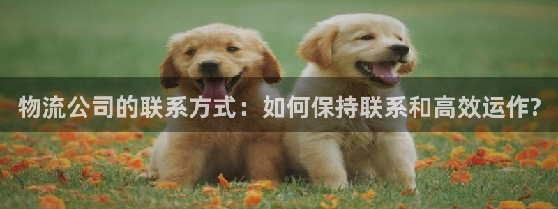 usdt交易路径查的到吗：物流公司的