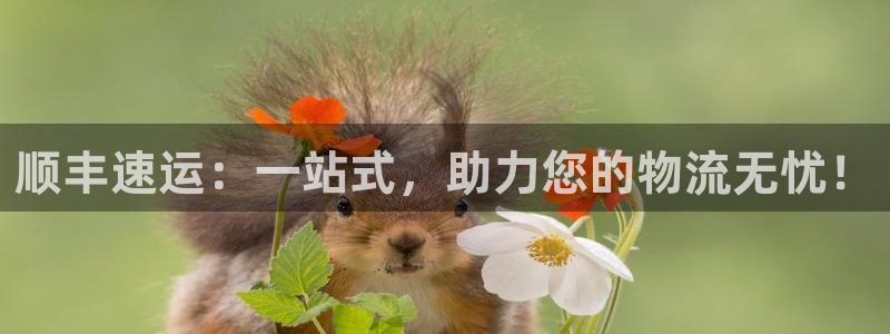 usdt如何注册交易.官网下载.中国