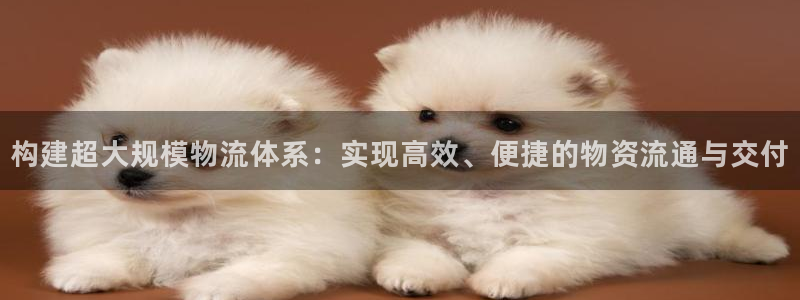 usdt链上：构建超大规模物流体系：