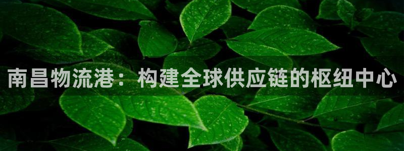 usdt账号里的钱怎么提现：南昌物流