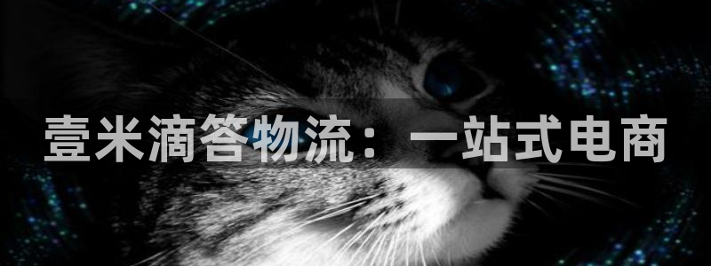 中国usdt账户申请：壹米滴答物流：