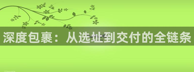 usdt怎么创建钱包：深度包裹：从选