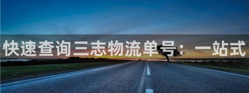 usdt交易买能量：快速查询三志物流