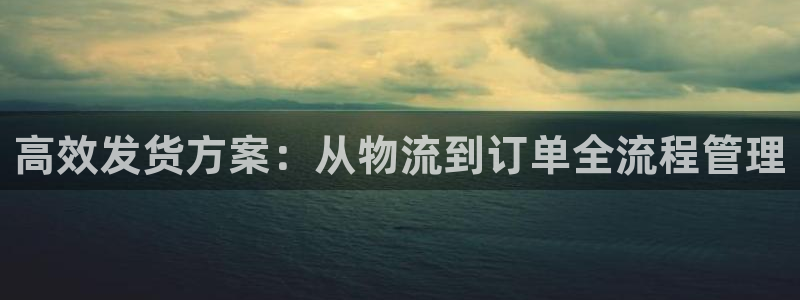 usdt官方购买：高效发货方案：从物