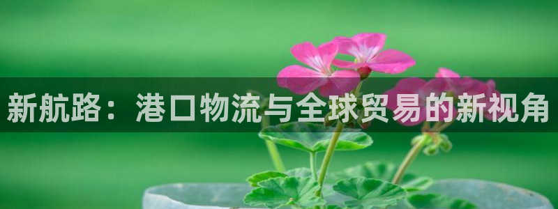 usdt钱包下载安装：新航路：港口物