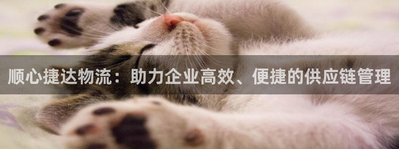 usdt钱包位置