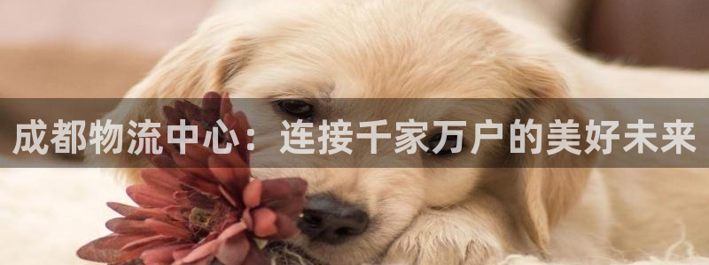 usdt登陆