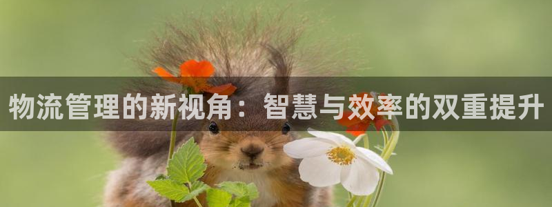 usdt币怎么提现