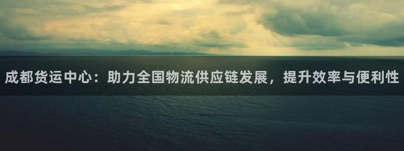 usdt充值提现人民币：成都货运中心