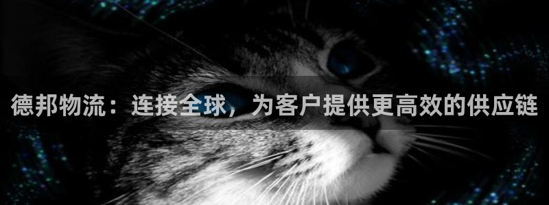 usdt怎么支付：德邦物流：连接全球