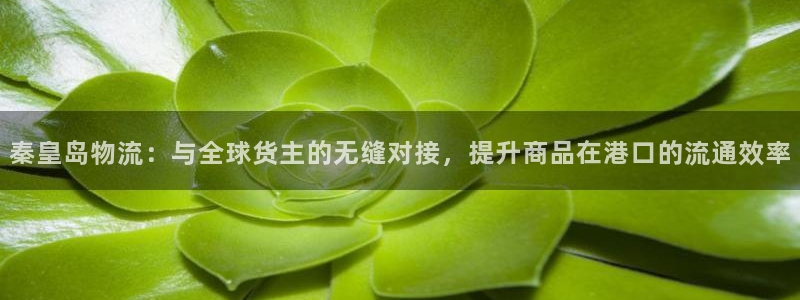 usdt换成钱：秦皇岛物流：与全球货