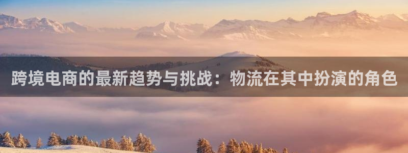 Usdt钱包查询：跨境电商的最新趋势