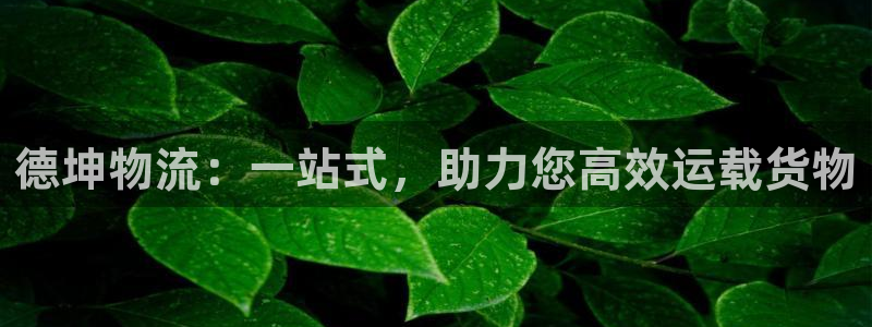 usdt-trc20怎么用：德坤物流