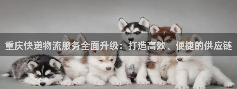 如何获得usdt地址：重庆快递物流服