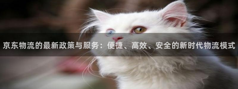 usdt支付下载