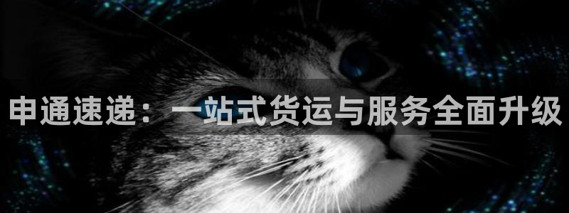 usdt种类：申通速递：一站式货运与