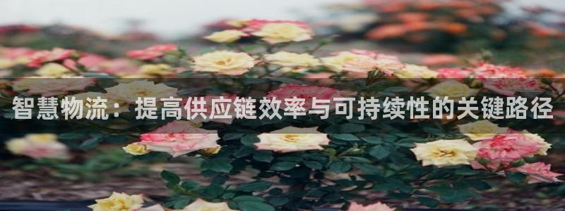 usdt钱包被盗怎么办：智慧物流：提