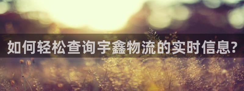 usdt钱包能提现到银行卡：如何轻松