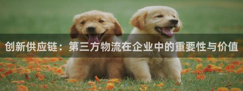 usdt多少可以提现：创新供应链：第