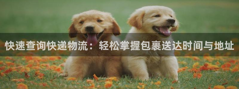 usdt能查到转账流水吗