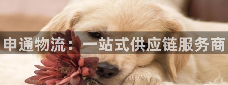 usdt官方兑换