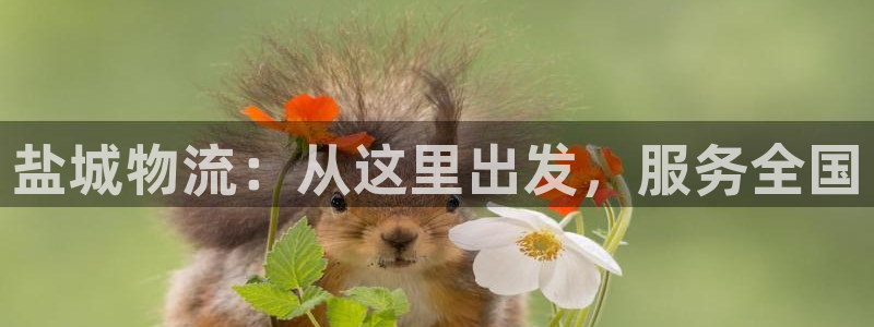 usdt wallet下载了怎么打不开