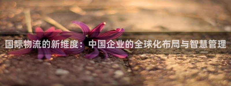 usdt转账查询：国际物流的新维度：