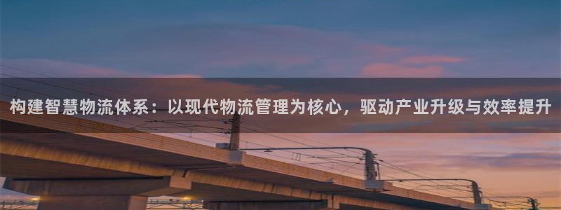 usdt百科：构建智慧物流体系：以现