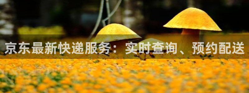 usdt地址注册：京东最新快递服务：