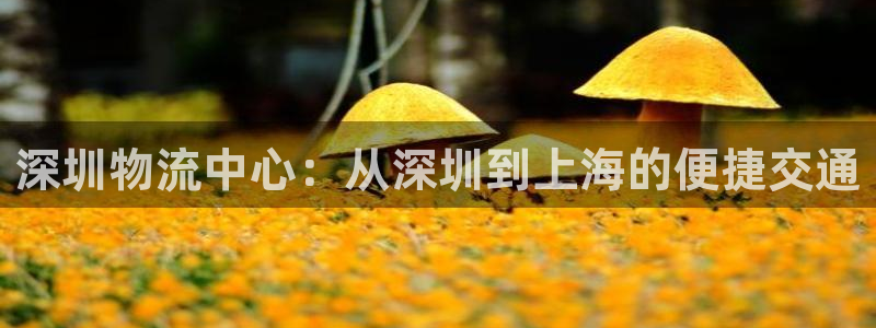 usdt钱包可以查到个人信息吗：深圳