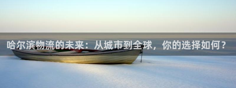usdt钱包在哪下载：哈尔滨物流的未