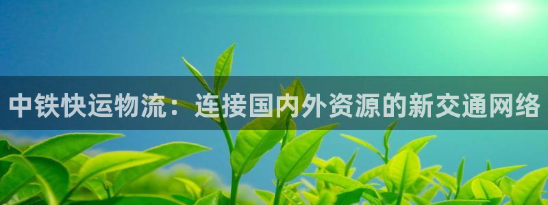 usdt被盗了能追回吗