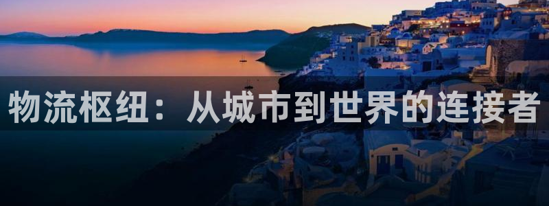 usdt会被标记吗：物流枢纽：从城市