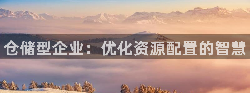 usdt怎么转：仓储型企业：优化资源