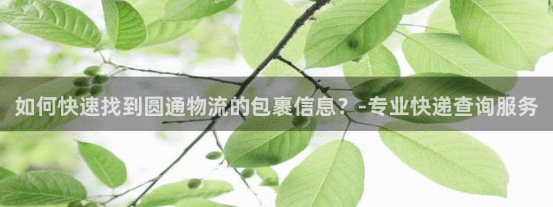 usdt在哪里注册账户：如何快速找到