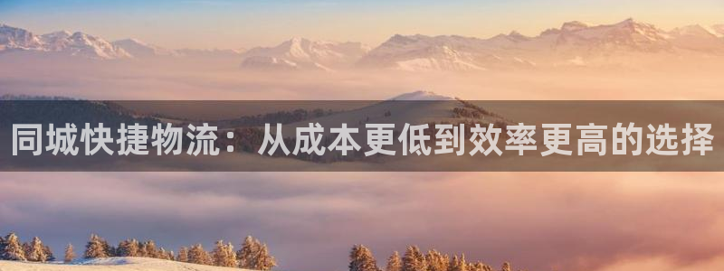 usdt币地址查询：同城快捷物流：从