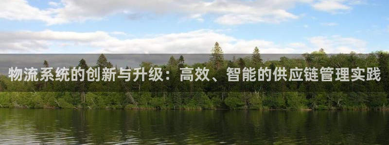 usdt注册了会被抓吗：物流系统的创