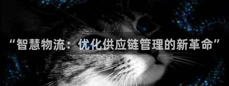 一个usdt：“智慧物流：优化供应链