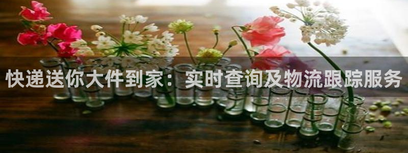 usdt能提到哪个钱包：快递送你大件