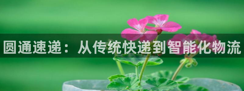 usdt地址查询平台