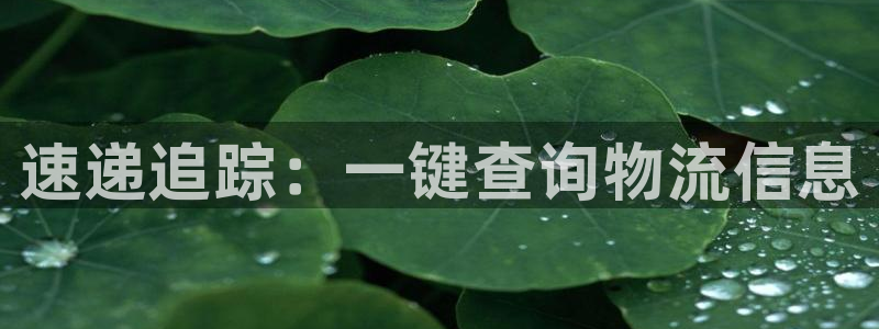 usdt官网注册：速递追踪：一键查询