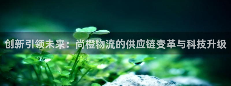 usdt怎么转到别人账户