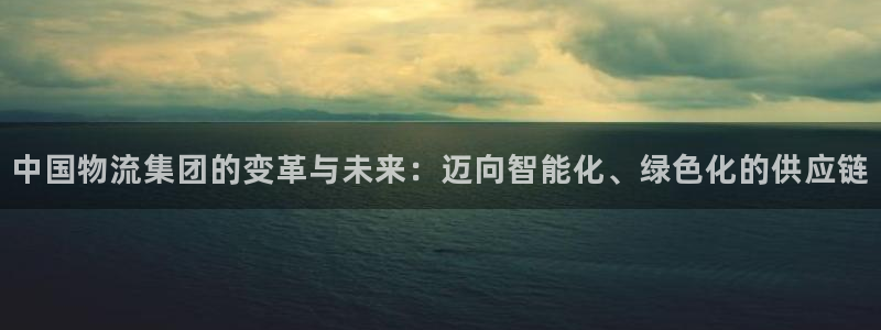 usdt最安全的钱包：中国物流集团的